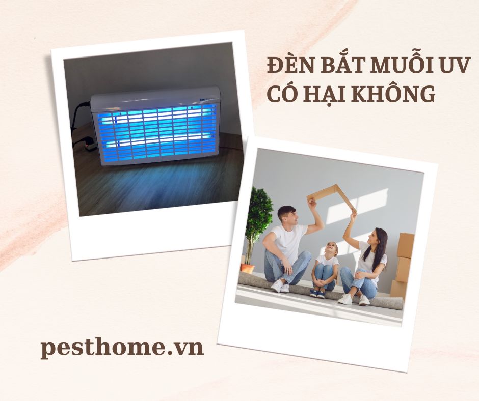 Ánh sáng đèn bắt muỗi có hại không