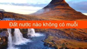 Đất nước nào không có muỗi