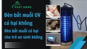 Đèn bắt muỗi UV có hại không
