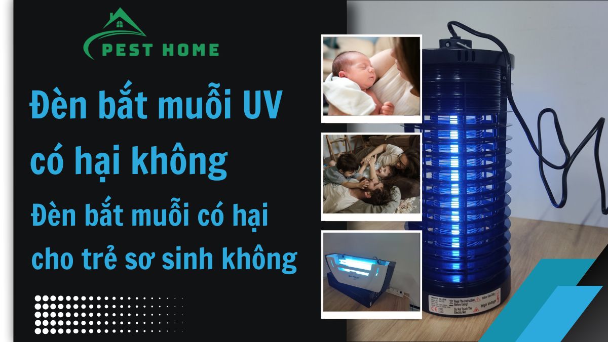 Đèn bắt muỗi UV có hại không