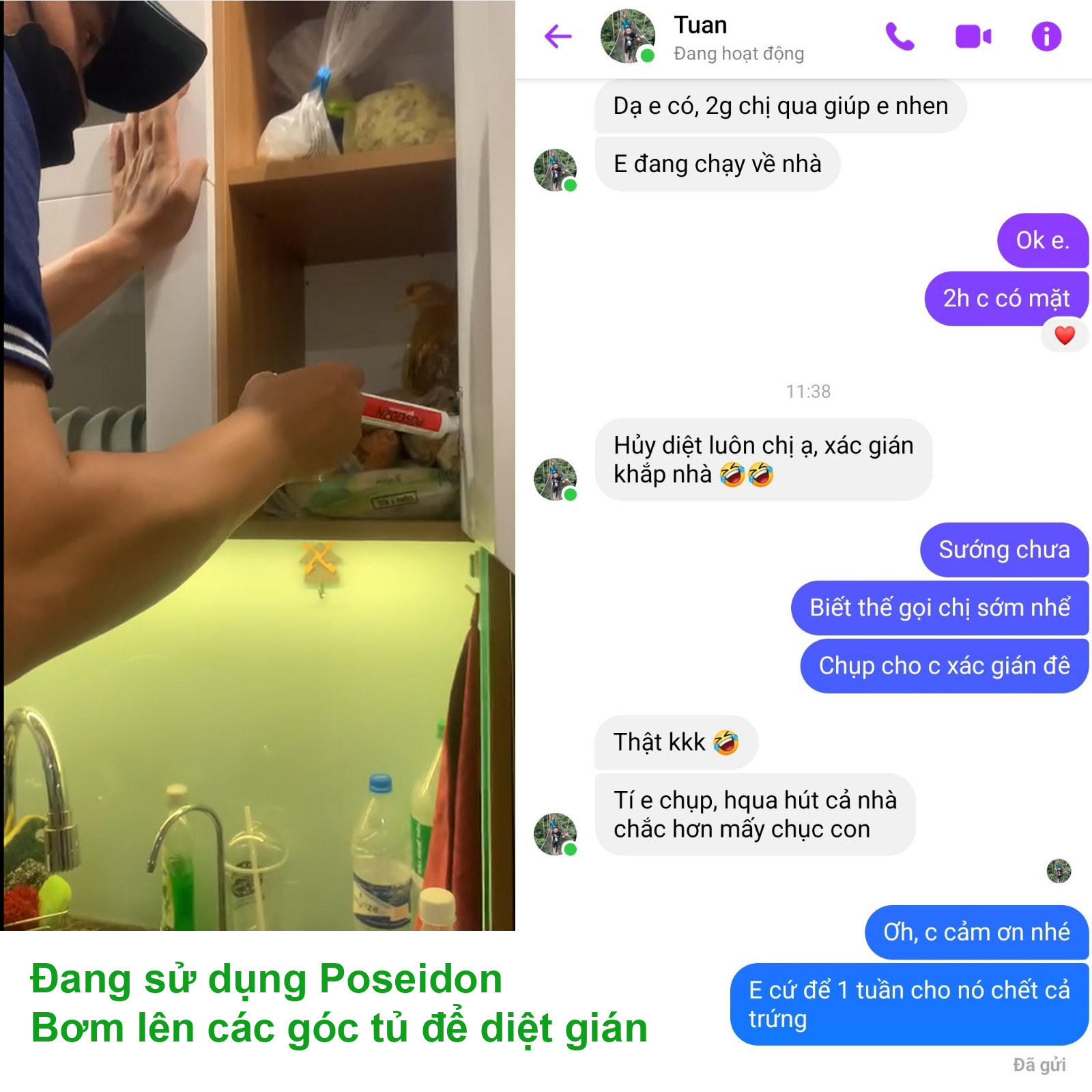 Diệt gián Poseidon chính hãng