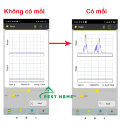 Cách tìm tổ mối