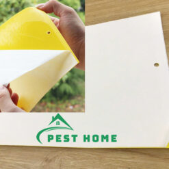 Miếng keo bẫy côn trùng