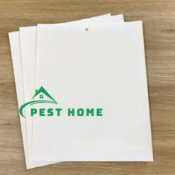 Tấm dán ruồi vàng