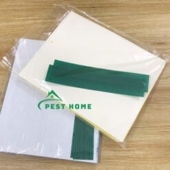 Tấm keo bẫy côn trùng giá sỉ