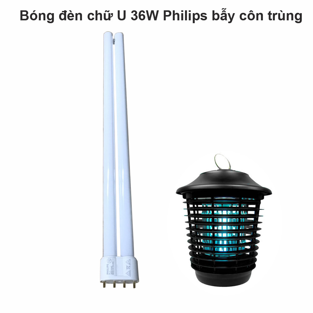 Bóng đèn chữ U 36W