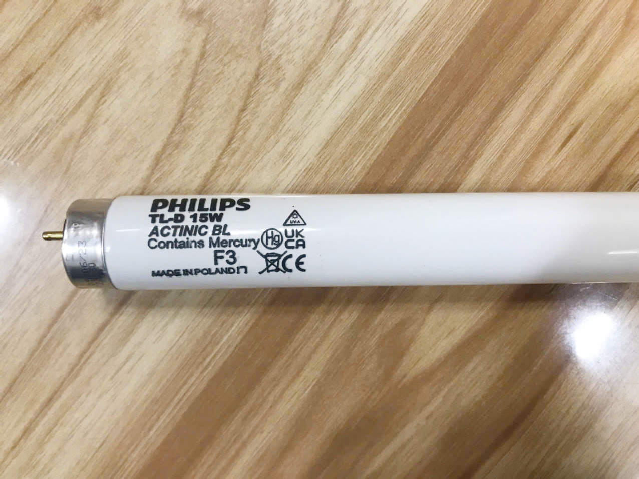 Bóng thay cho đen bẫy côn trùng Maxx 100