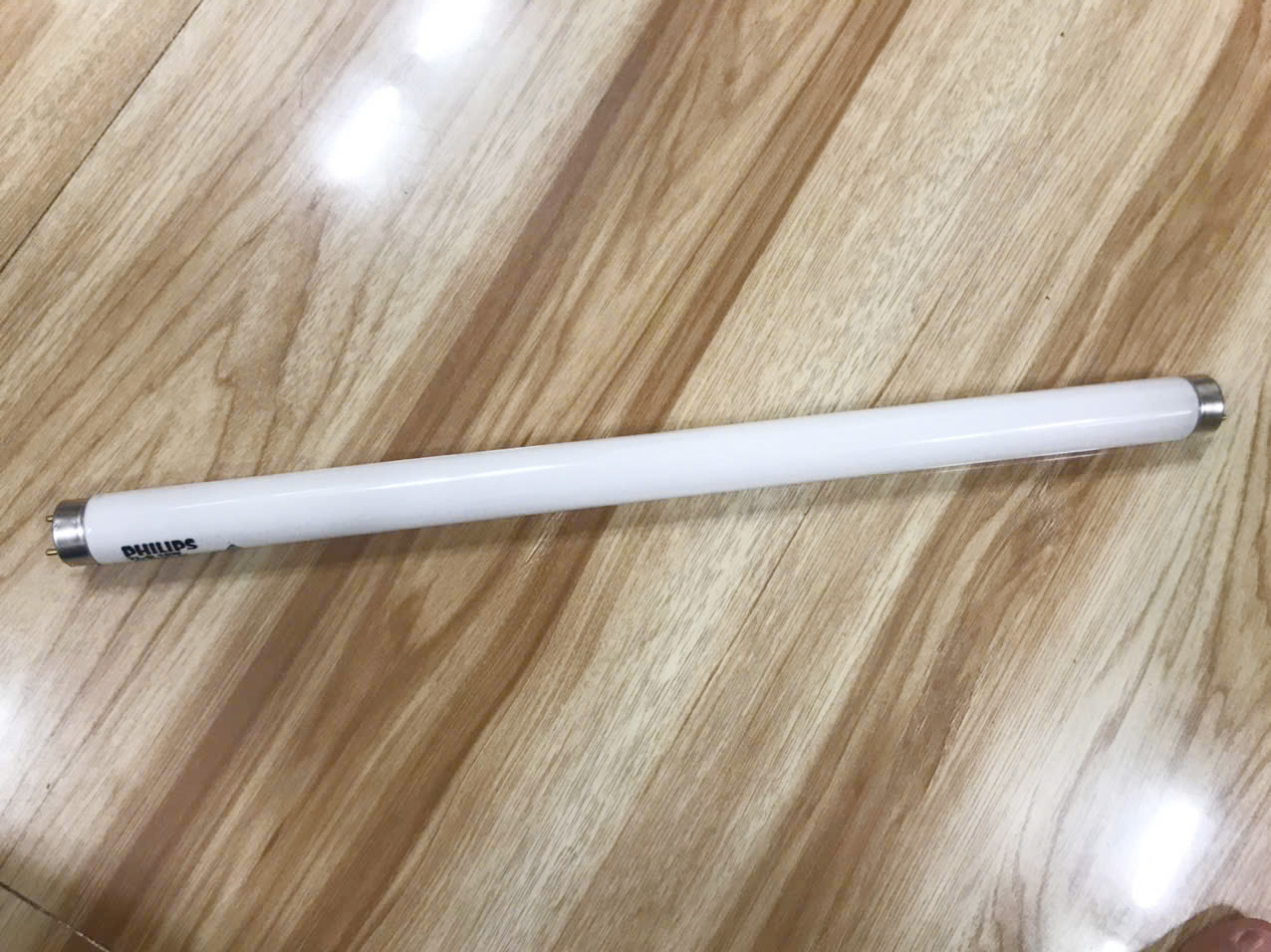 Bóng đèn thay cho đen diệt côn trùng Maxx 100