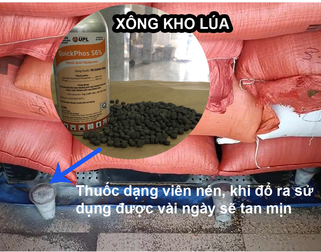 Cách sử dụng thuốc QuickPhos 56