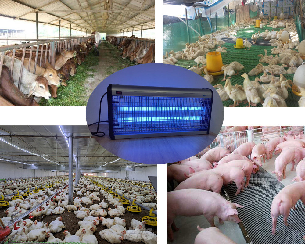 Đèn bắt muỗi côn trùng cho chăn nuôi Maxx 150