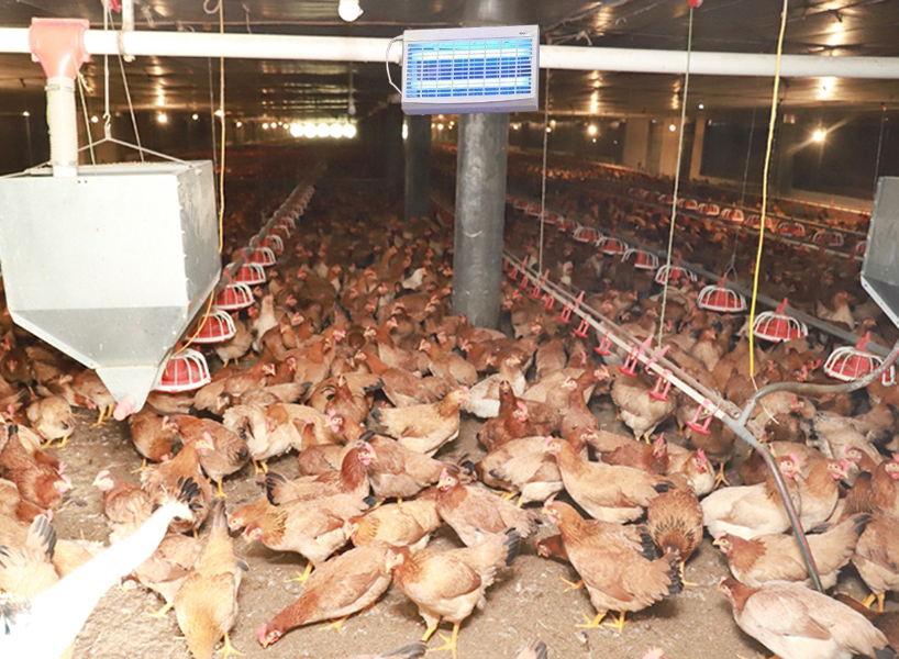 Đèn bẫy côn trùng cho trang trại chăn nuôi Gà
