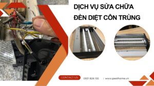 Sửa Chữa Đèn Diệt Côn Trùng