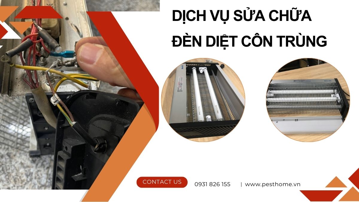 Sửa Chữa Đèn Diệt Côn Trùng