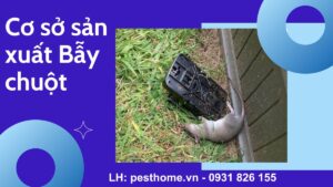 Cơ Sở Sản Xuất Bẫy Chuột