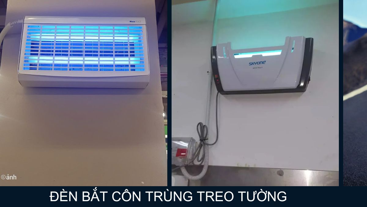 Đèn bắt côn trùng treo tường