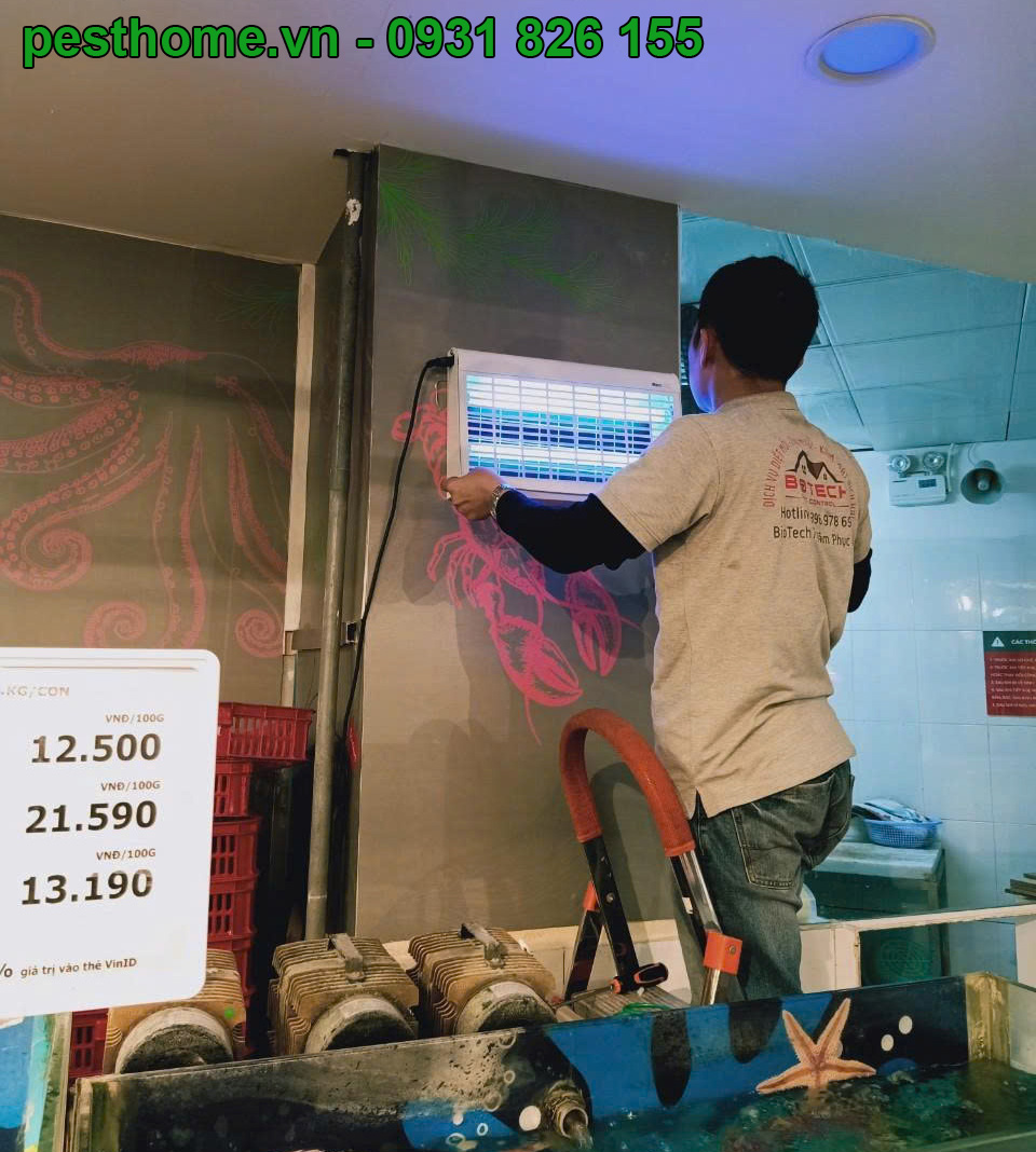 Đèn bẫy côn trùng treo tường