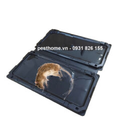 Keo dính chuột bằng nhựa