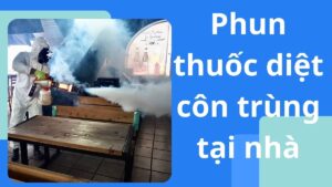 Phun thuốc diệt côn trùng tại nhà