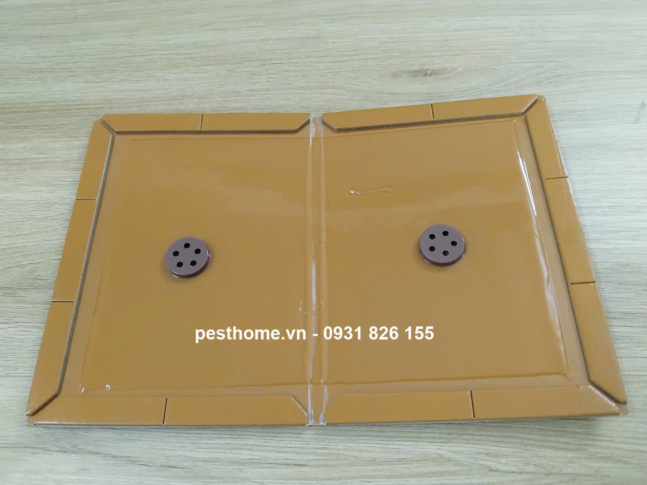 mieng dan chuot bang giay