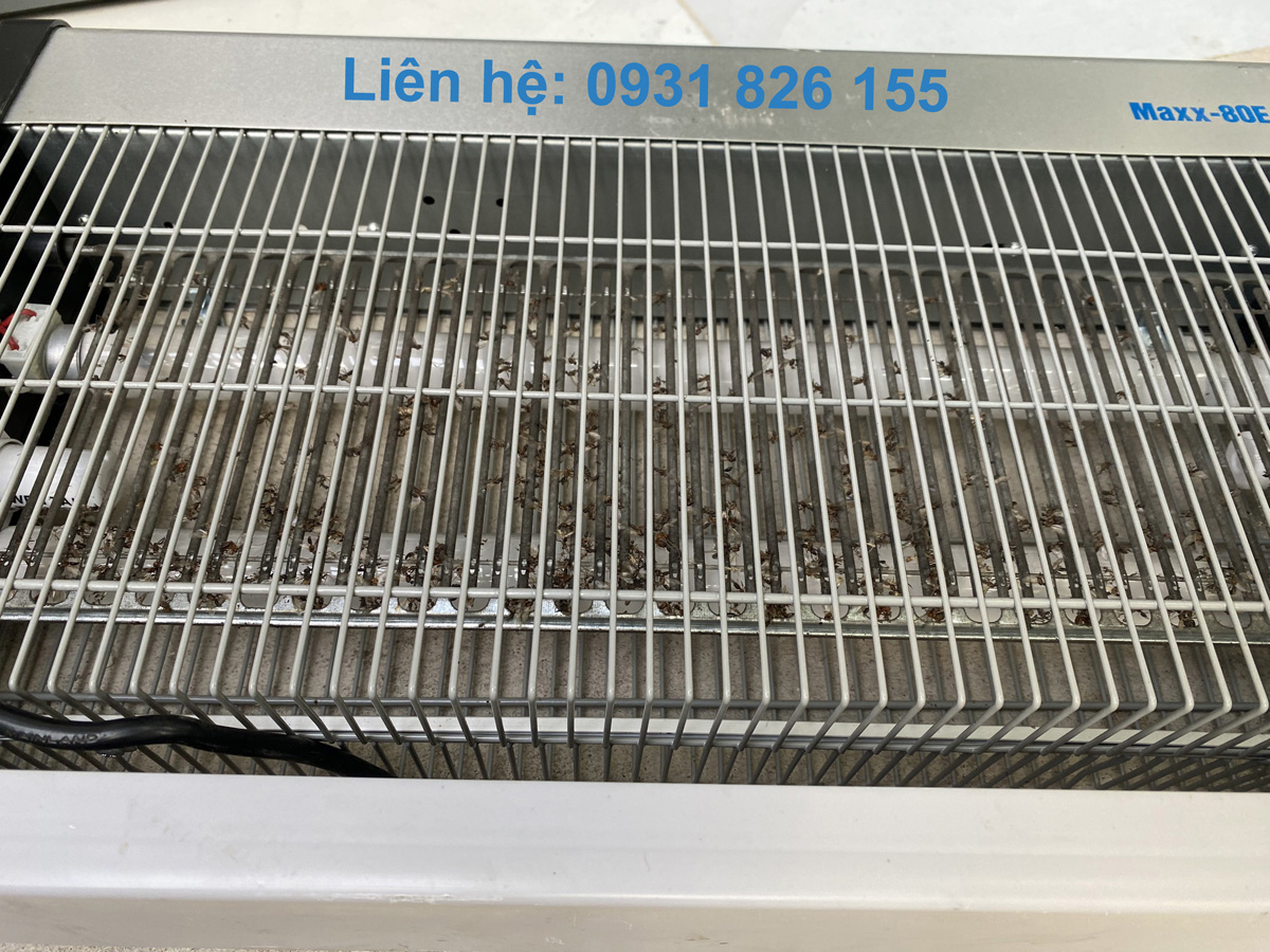 Đèn bắt muỗi Philips