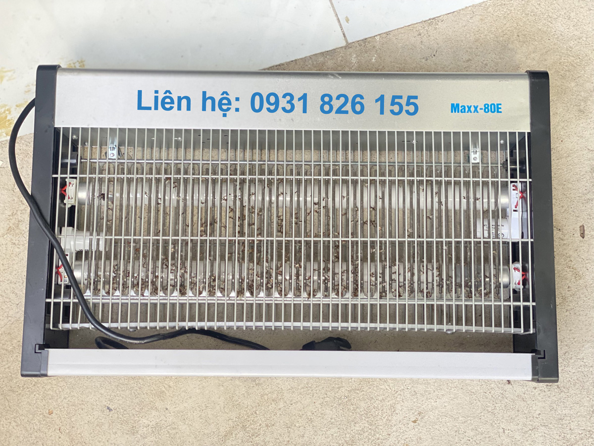 Máy bắt muỗi Philips chính hãng