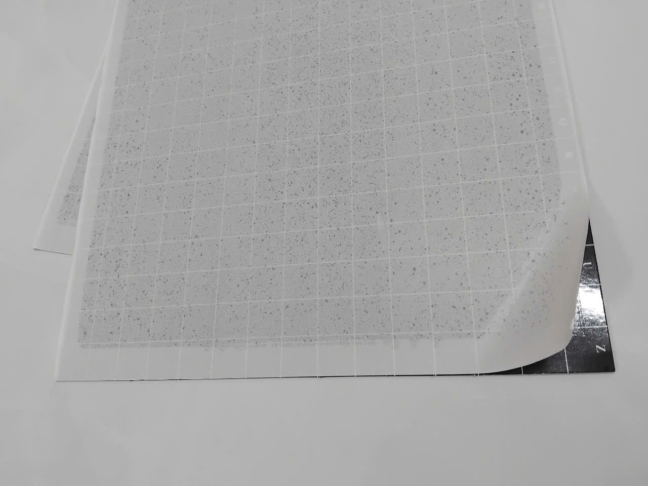 tam dinh den con trung 46 x 30cm