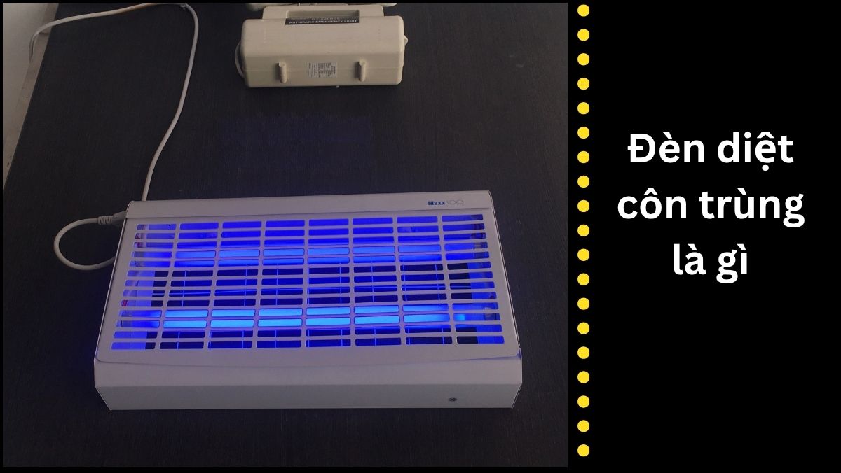 Đèn diệt côn trùng là gì
