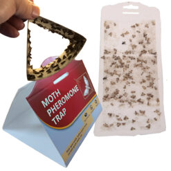 Bẫy ngài bướm đêm Ấn Độ Moth Pheromone Trap