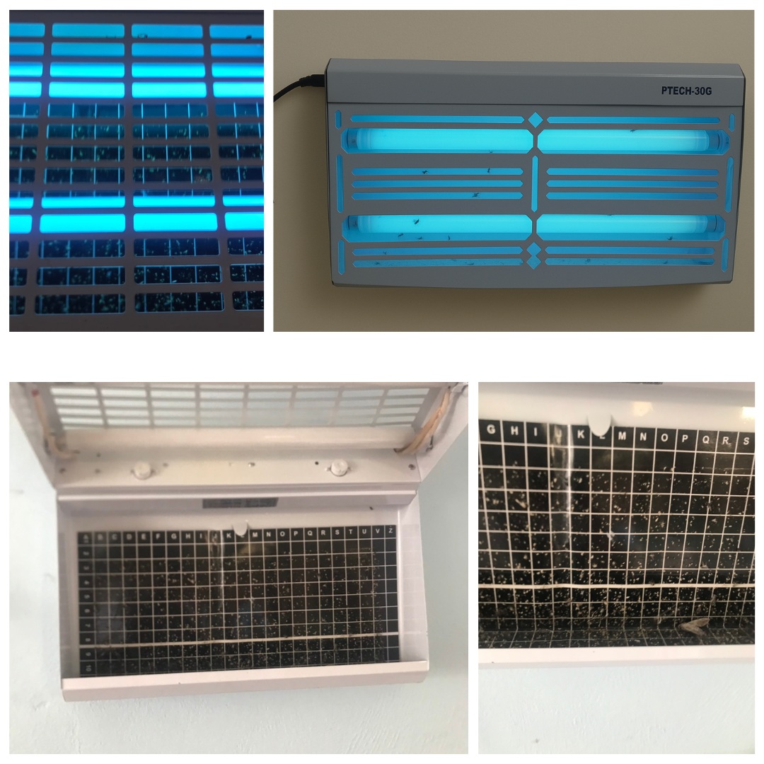 Đèn bẫy côn trùng bằng tấm keo dính