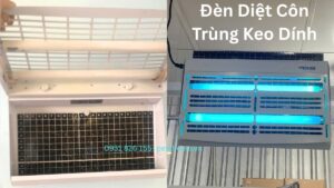 Đèn diệt côn trùng keo dính