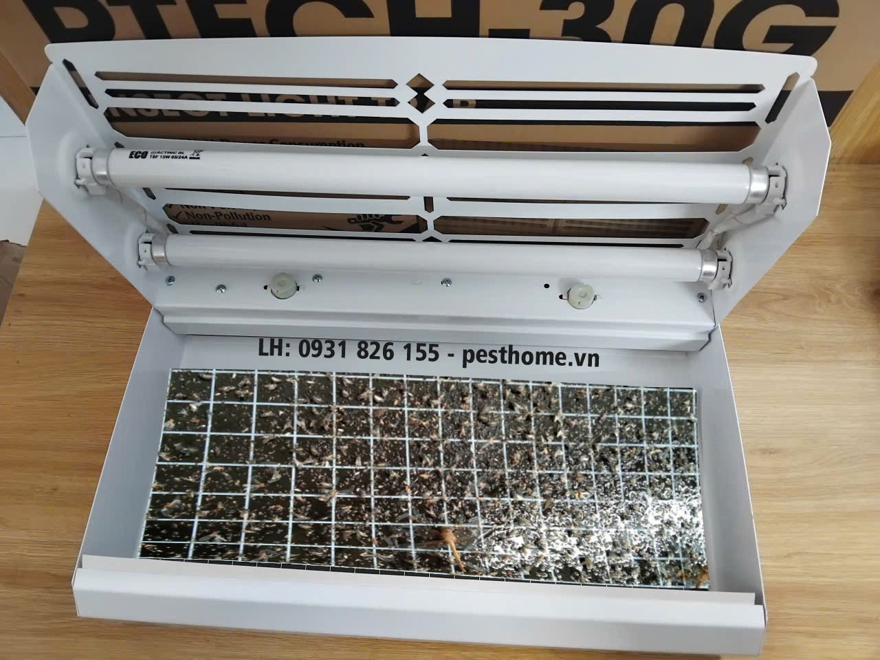 Keo đèn dán côn trùng