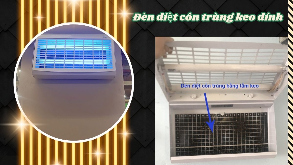 Đèn diệt côn trùng keo dính chính