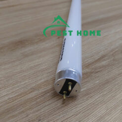 Ecoguard bẫy côn trùng