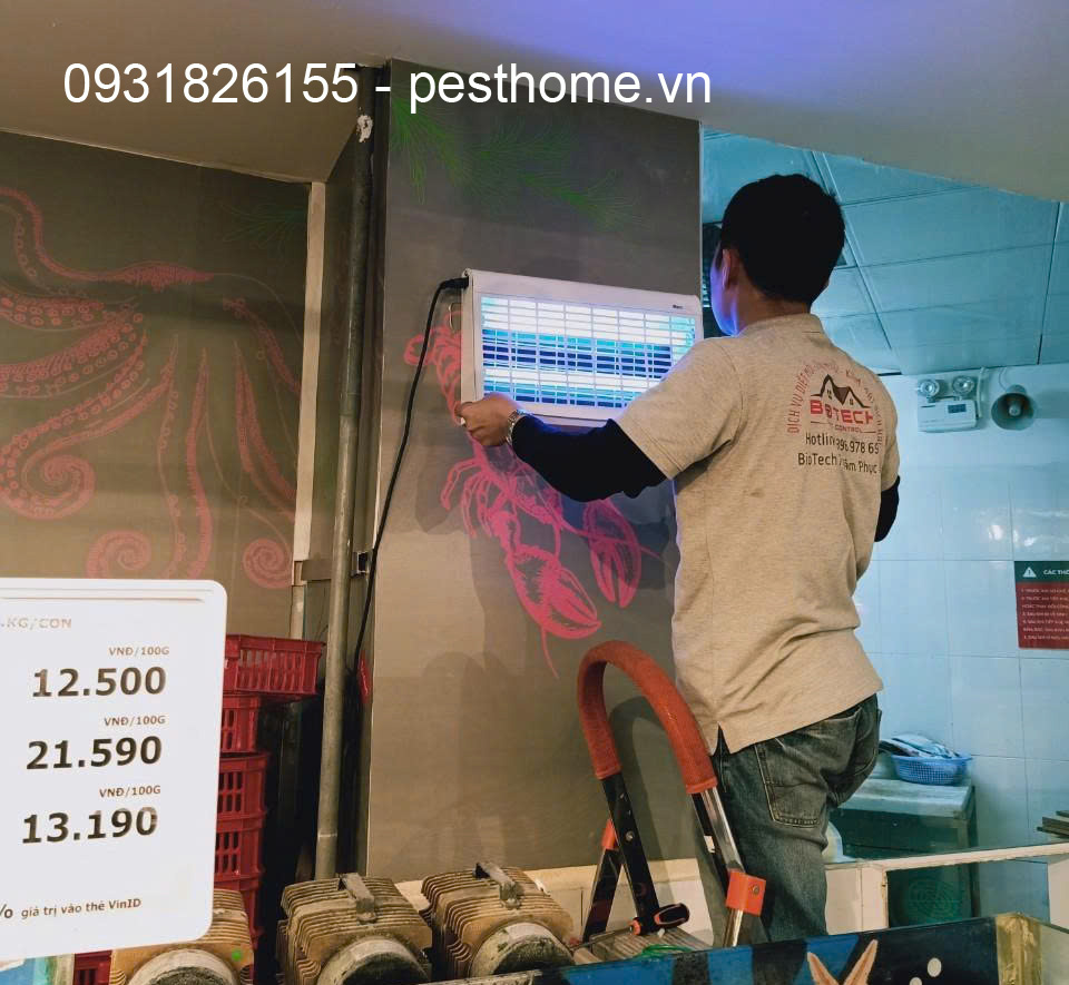 Lắp đèn bẫy côn trùng đúng kỹ thuật