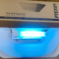 Ptex01