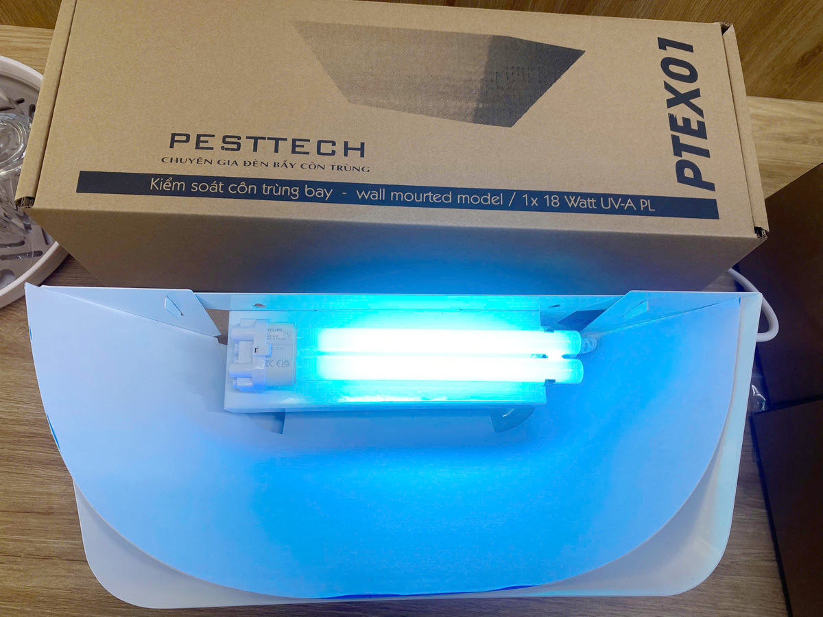 Ptex01