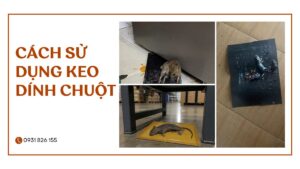 Cách Sử Dụng Keo Dính Chuột