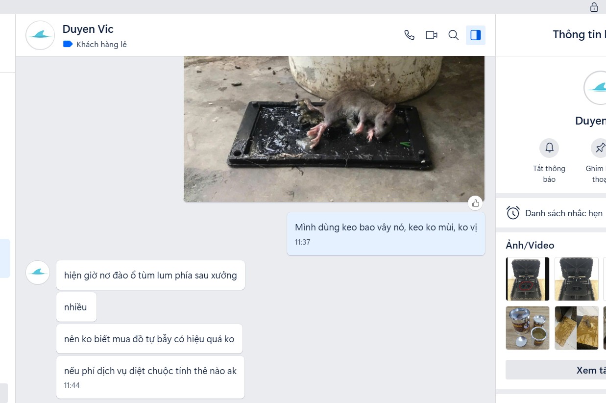 Chia sẻ cách bẫy chuột