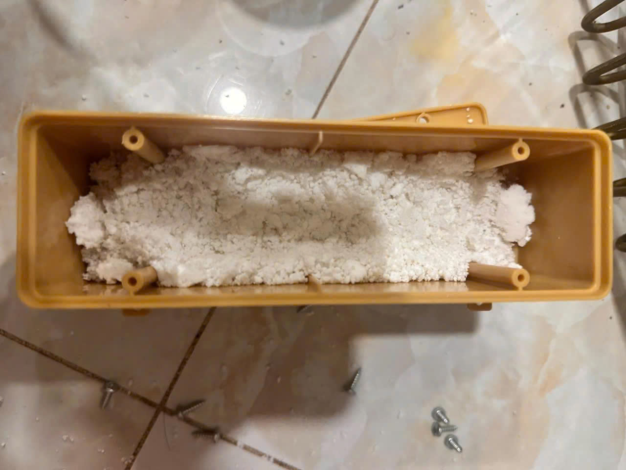 Công ty diệt mối uy tín TPHCM